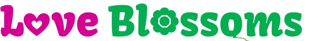 Love Blossoms Balloons Logo