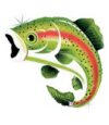 Holographic Rainbow Trout Fishing Supershape Balloon Party Supplies Decorations Ideas Novelty Gift