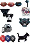 Carolina Panthers