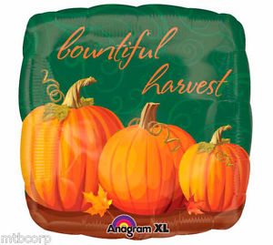 Autumn Bountiful Harvest Balloon Party Supplies Decorations Ideas Novelty Gift