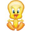 Tweety Pie 27in Shape Balloon Party Supplies Decorations Ideas Novelty Gift