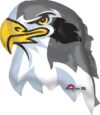 Falcon Head 22in Shape Balloon Party Supplies Decorations Ideas Novelty Gift