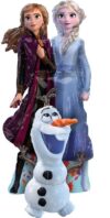 Frozen 2 Airwalker Balloon Party Supplies Decorations Ideas Novelty Gift