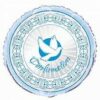 Blue Confirmation Dove 18in Balloon Party Supplies Decorations Ideas Novelty Gift 43838