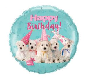 Happy Birthday Maltese Puppies 18in Balloon Party Supplies Decorations Ideas Novelty Gift 57620