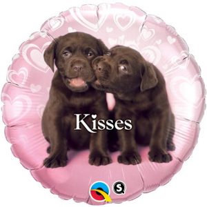 Chocolate Labrador Kisses 18in Balloon Party Supplies Decorations Ideas Novelty Gift 34075