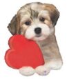 Shih Tzu Puppy 29in Supershape Balloon Party Supplies Decorations Ideas Novelty Gift 35513