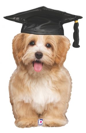 Graduation Puppy 32in Supershape Balloon Party Supplies Decorations Ideas Novelty Gift 35544