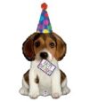 Beagle Happy Birthday 41in Supershape Balloon Party Supplies Decorations Ideas Novelty Gift 35561