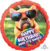 Boxer Bulldog Happy Birthday 28in Balloon Party Supplies Decorations Ideas Novelty Gift 36389