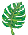 30in Shape Tropical Monstera Leaf Balloon Party Supplies Decoration Ideas Novelty Gift