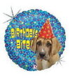 Birthdays Bite Hound 18in Balloon Party Supplies Decorations Ideas Novelty Gift 86482