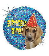 Birthdays Bite Hound 18in Balloon Party Supplies Decorations Ideas Novelty Gift 86482