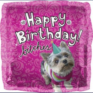 Happy Birthday Bitches Yorkie 18in Balloon Party Supplies Decorations Ideas Novelty Gift NS-00912