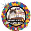 Grumpy Cat Birthday Cake Balloon Party Supplies Decorations Ideas Novelty Gift 367050