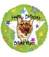 Bright Eyes Cat Birthday 18in Balloon Party Supplies Decoration Ideas Novelty Gift 115631