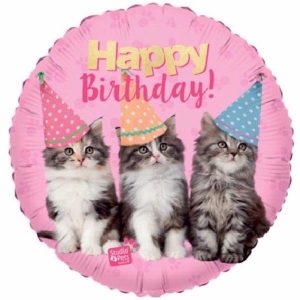 Pink Kittens Birthday 18in Balloon Party Supplies Decoration Ideas Novelty Gift 57623