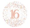 Rose Gold 16th Birthday Standard Balloon Party Supplies Decoration Ideas Novelty Gift 227079