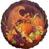Harvest Festival 18in Balloon Party Supplies Decorations Ideas Novelty Gift 16349
