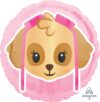Paw Patrol Skye Emoji Standard Balloon Party Supplies Decorations Ideas Novelty Gift