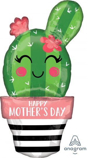 Happy Mothers Day Cactus Balloon Party Supplies Decorations Ideas Novelty Gift