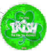 Im Not Irish But Kiss Me Anyway Balloon Party Supplies Decorations Ideas Novelty Gift