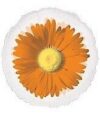 Orange Daisy Flower Standard Balloon Party Supplies Decorations Ideas Novelty Gift