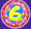 Pink Flowers Happy 6th Birthday Balloon Party Supplies Decorations Ideas Novelty Gift